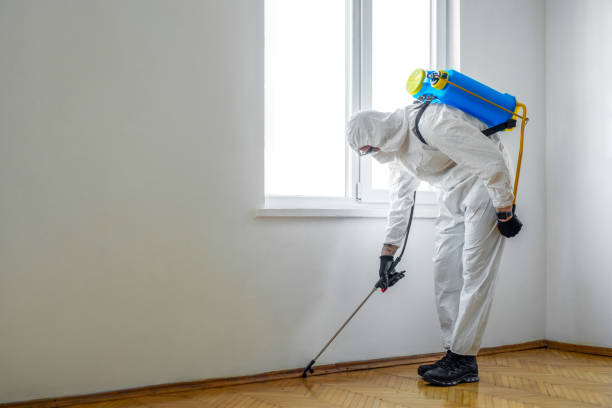 Reliable Jeanerette, LA Pest Control Solutions